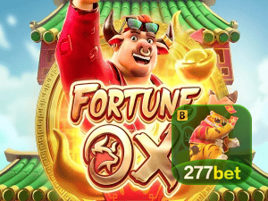 277BET login — painel de entrada no app oficial