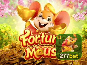 277BET login — configurações de segurança e proteção de conta